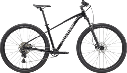 Cannondale Trail 2 29 2025